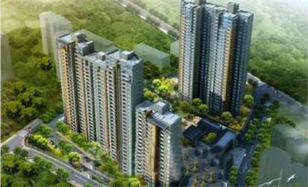 ���Ĳɡ�����һƷС�����ܻ�����